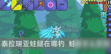 brigut游戏攻略 VS 泰拉瑞亚游戏攻略端游